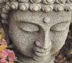 ASANA (poses) and PRANAYAMA (breathing)
